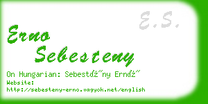 erno sebesteny business card